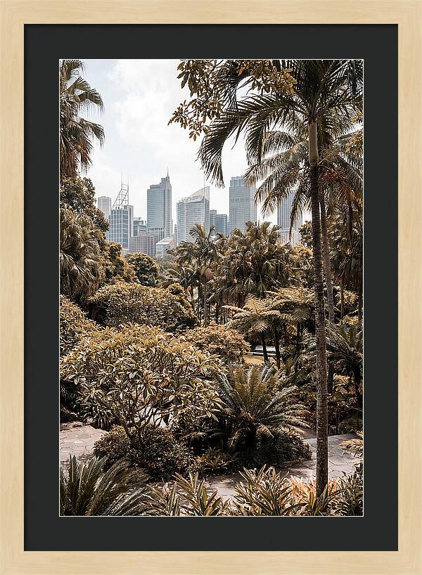 City Oasis With Skyline View