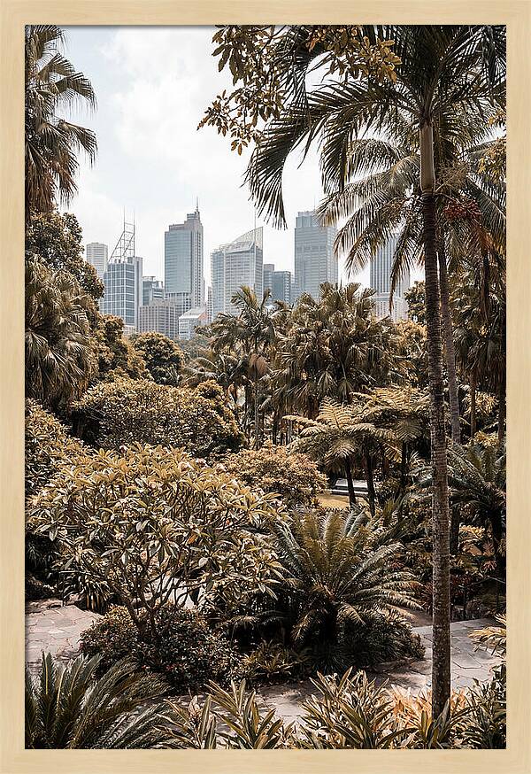 City Oasis With Skyline View