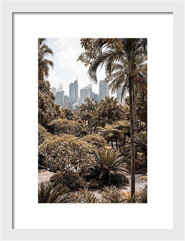 City Oasis With Skyline View