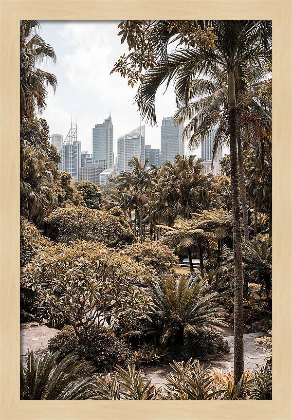 City Oasis With Skyline View