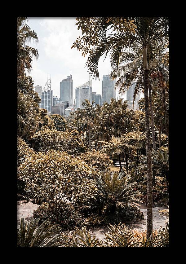 City Oasis With Skyline View