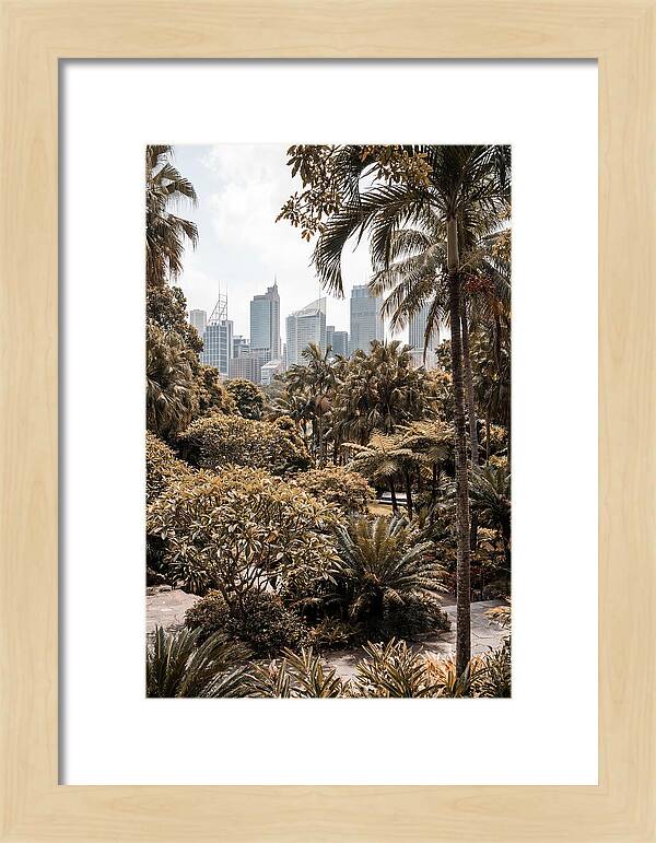 City Oasis With Skyline View