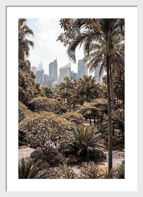 City Oasis With Skyline View