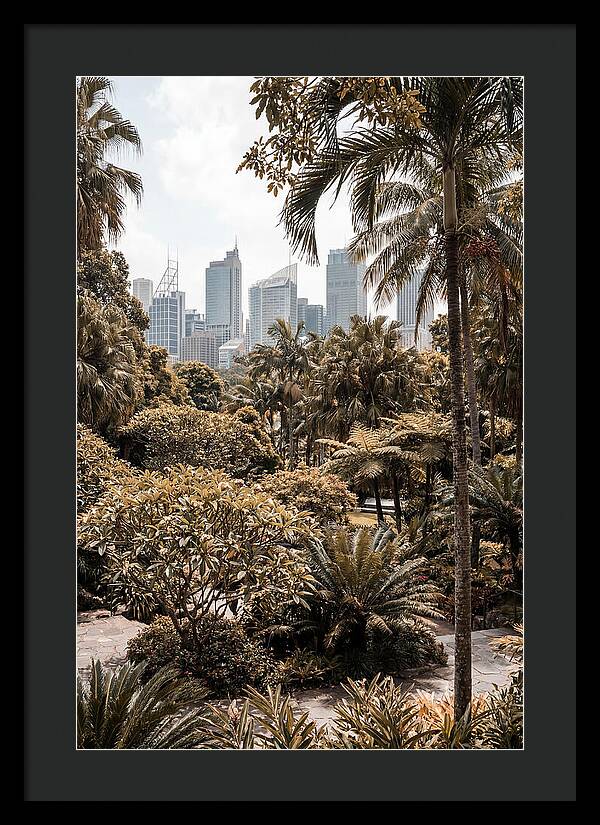 City Oasis With Skyline View