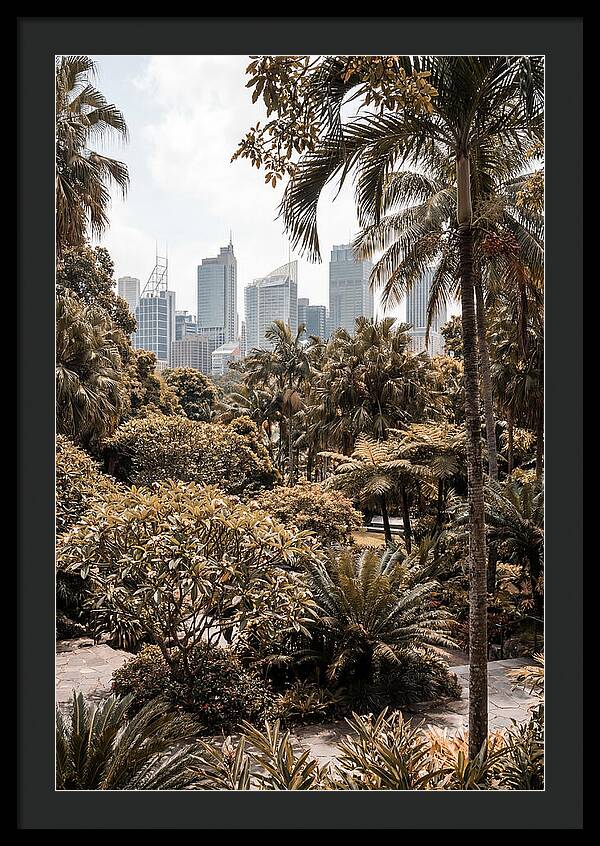 City Oasis With Skyline View