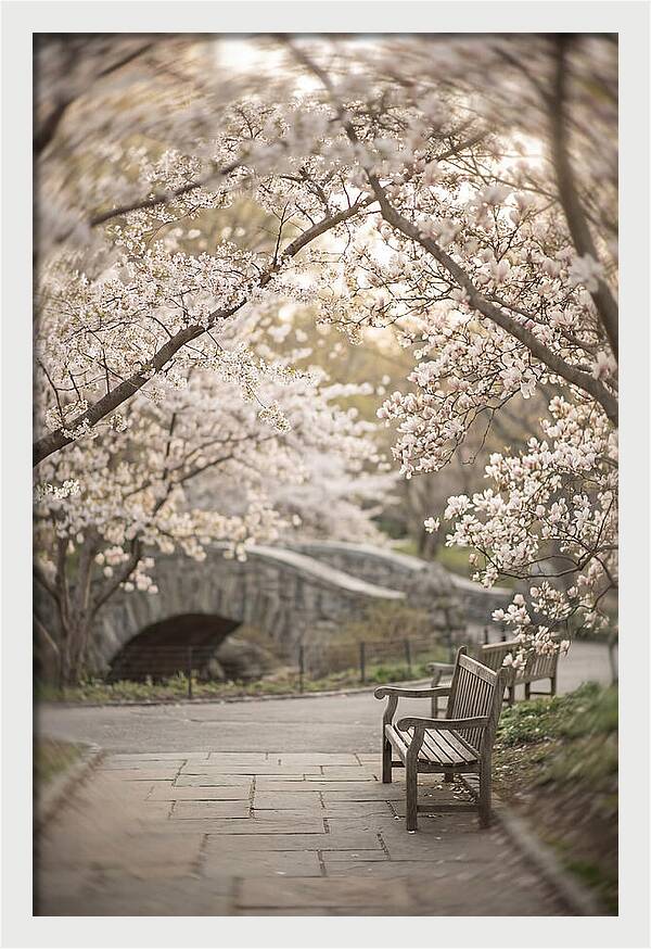 City Park Blossoms