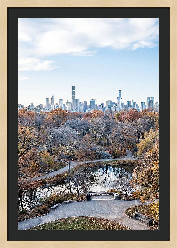 City Park In Autumn Splendor