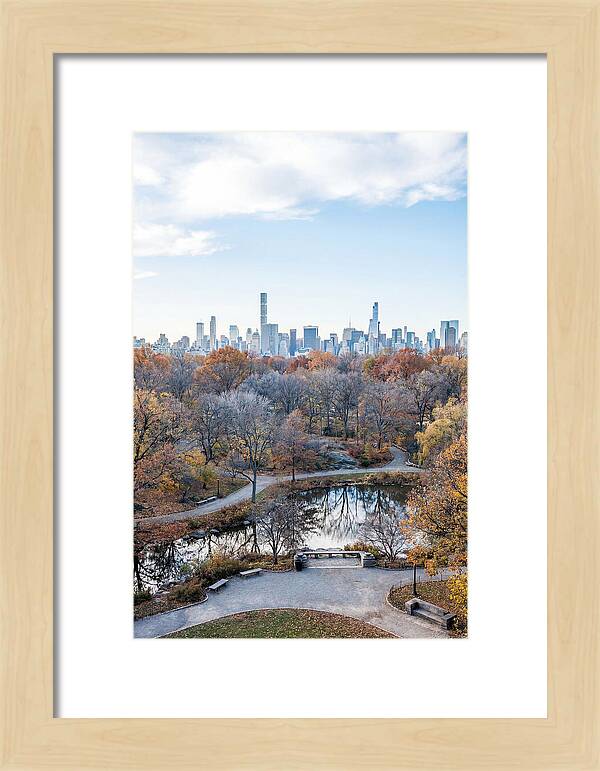 City Park In Autumn Splendor