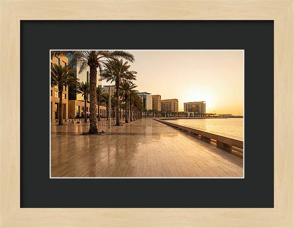 City Waterfront Serenity