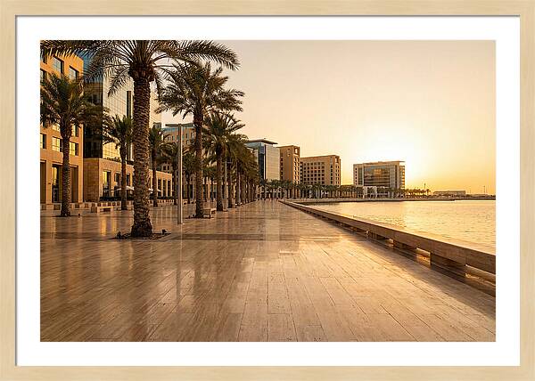 City Waterfront Serenity