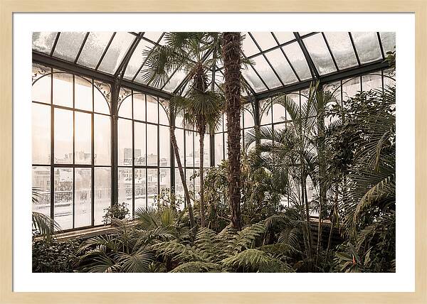 City Winter Garden Conservatory