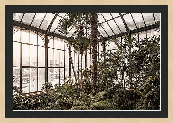 City Winter Garden Conservatory