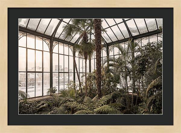 City Winter Garden Conservatory