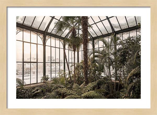 City Winter Garden Conservatory