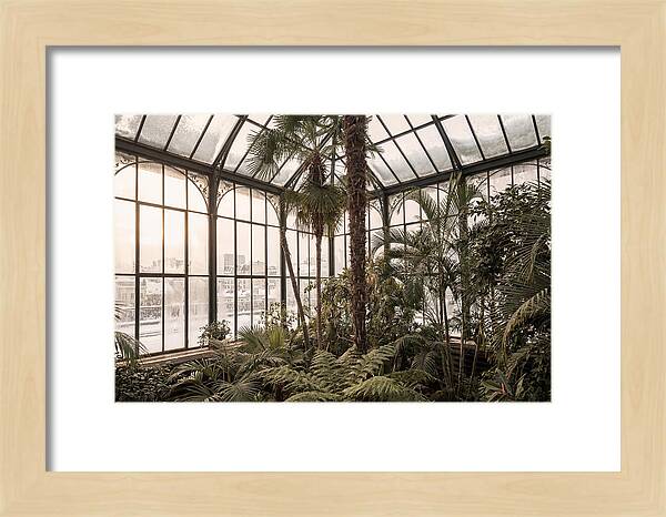 City Winter Garden Conservatory