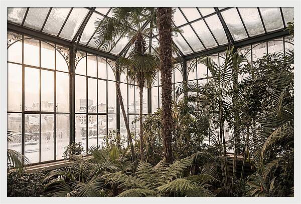 City Winter Garden Conservatory