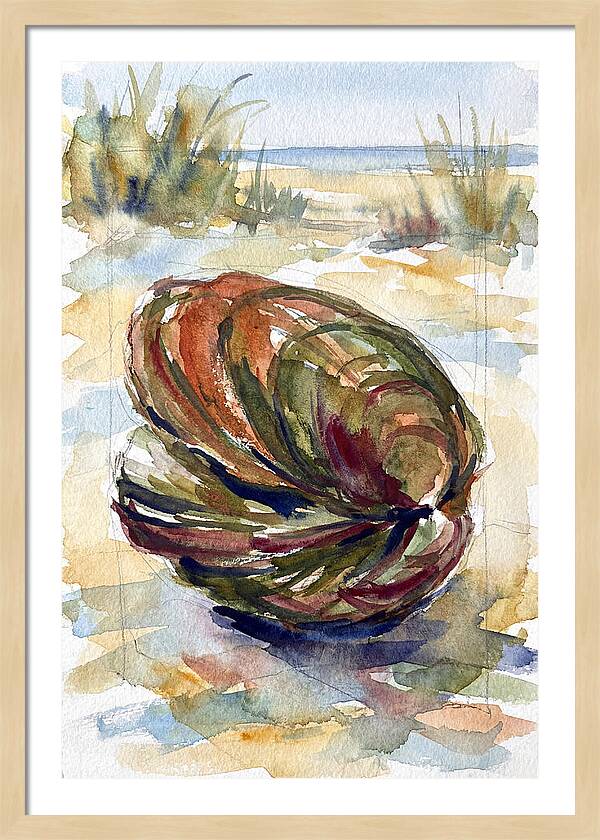 Clam By The Shore