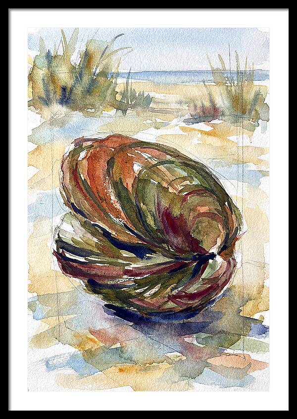 Clam By The Shore