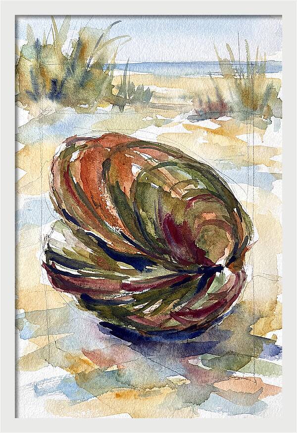 Clam By The Shore
