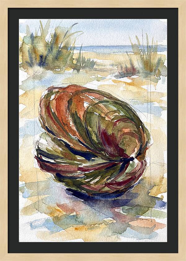 Clam By The Shore