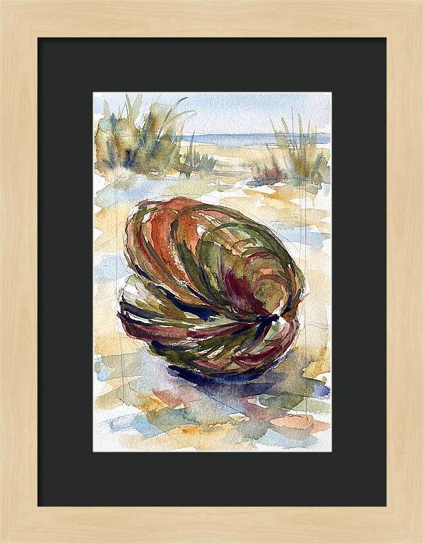 Clam By The Shore