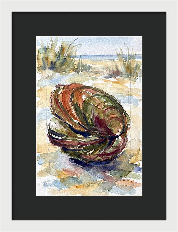 Clam By The Shore