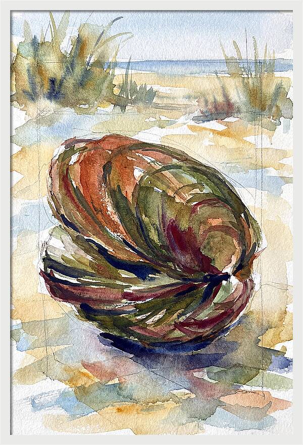 Clam By The Shore