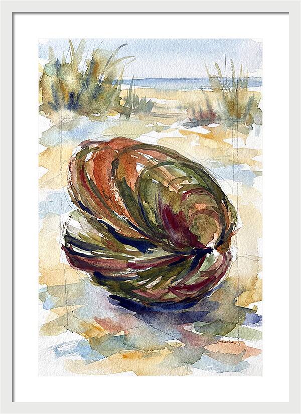 Clam By The Shore