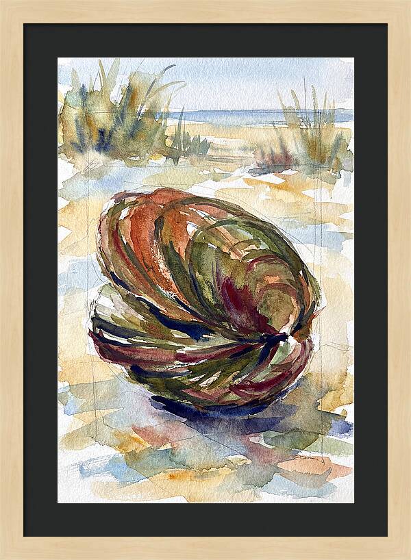 Clam By The Shore