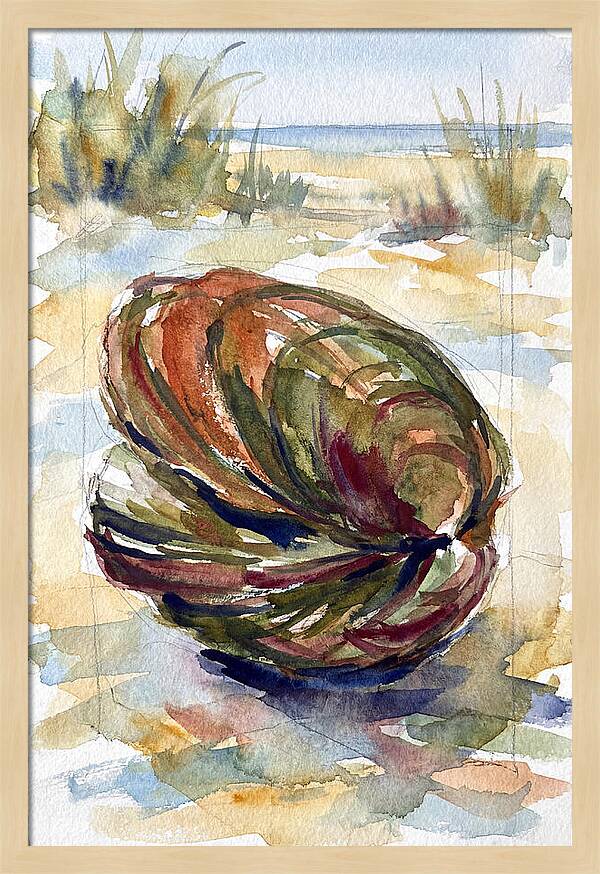 Clam By The Shore