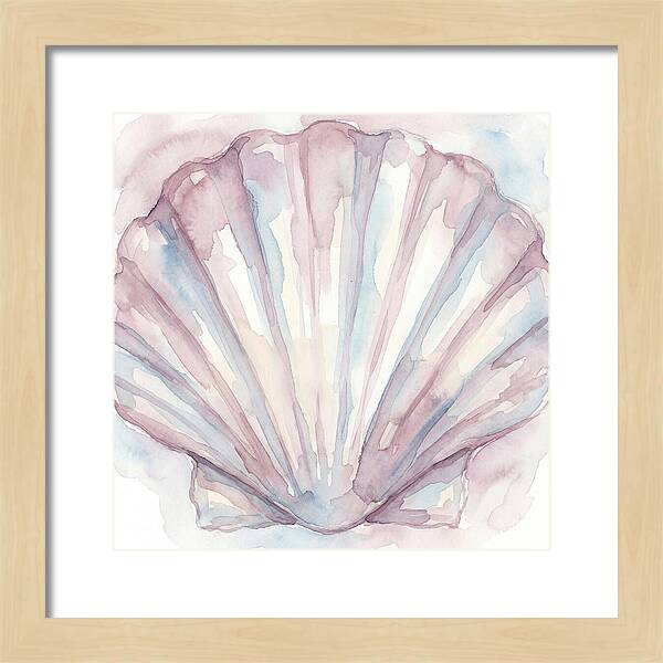 Clam Shell Watercolor