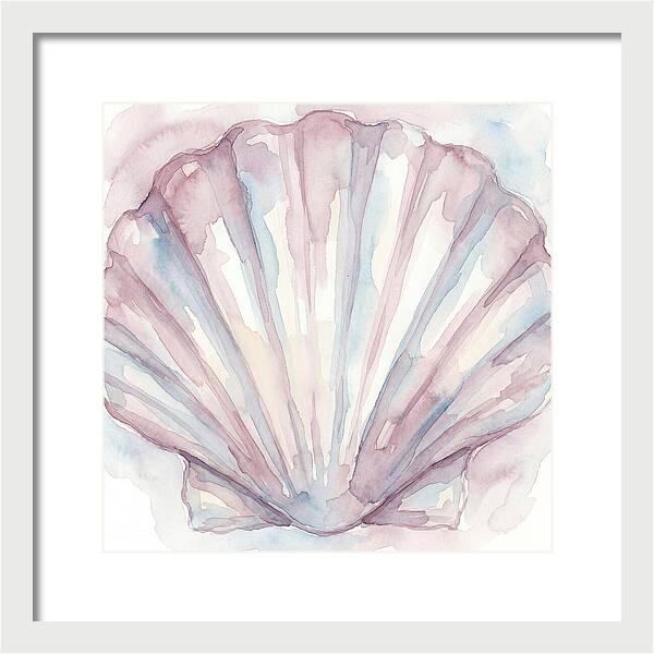 Clam Shell Watercolor