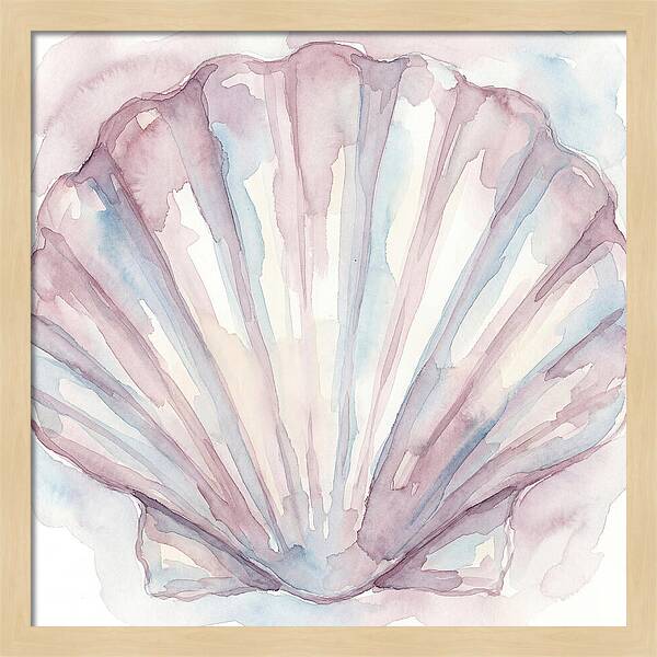 Clam Shell Watercolor