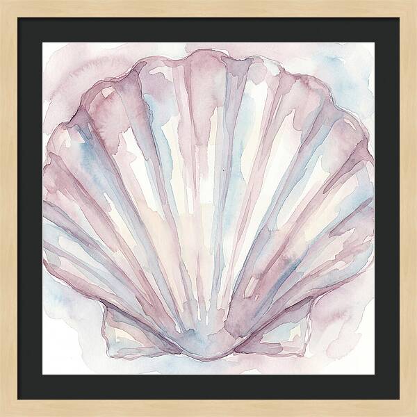 Clam Shell Watercolor