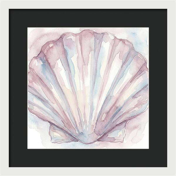 Clam Shell Watercolor