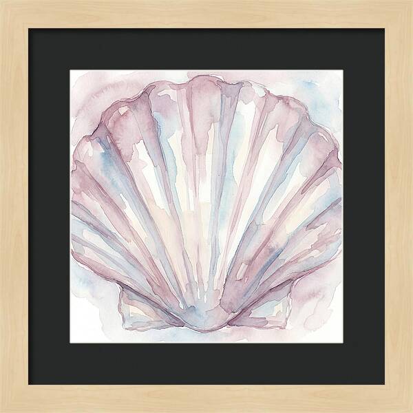 Clam Shell Watercolor