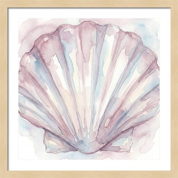 Clam Shell Watercolor