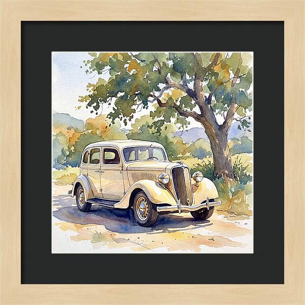Classic Car Under The Tree