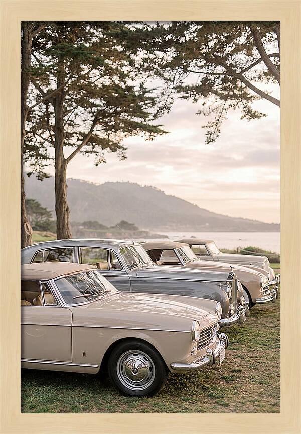 Classic Cars Under Sunset