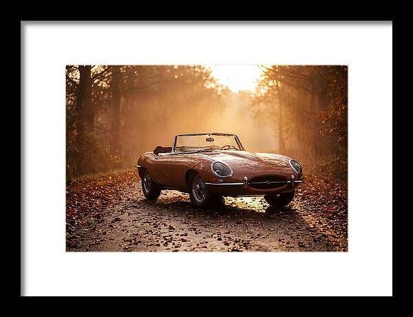Classic Convertible In Autumn Light