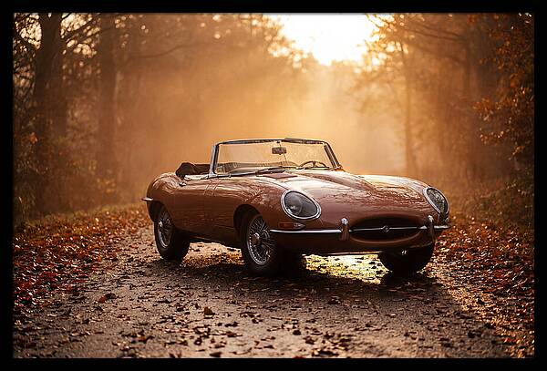 Classic Convertible In Autumn Light