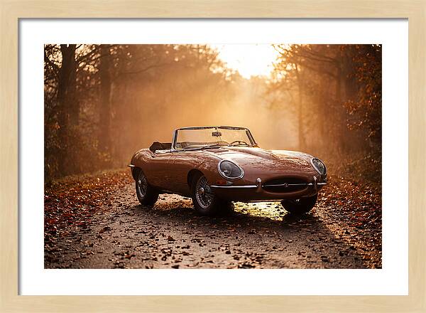 Classic Convertible In Autumn Light