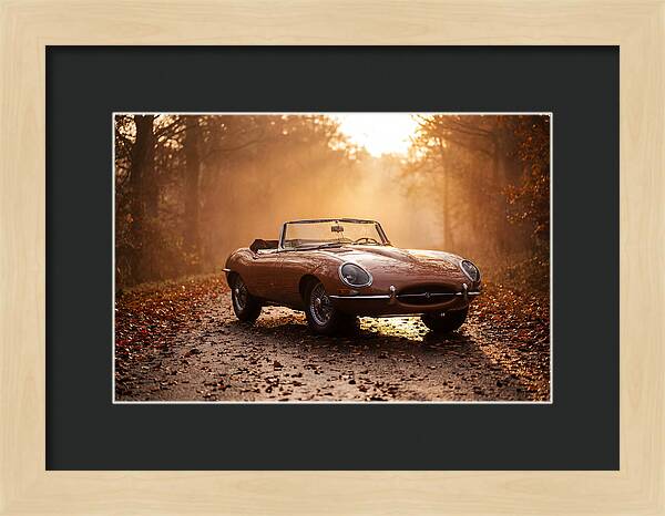Classic Convertible In Autumn Light