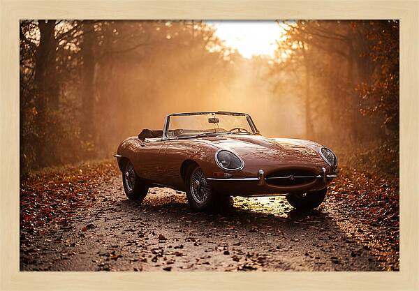 Classic Convertible In Autumn Light