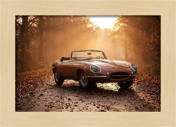 Classic Convertible In Autumn Light