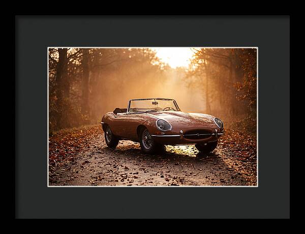Classic Convertible In Autumn Light