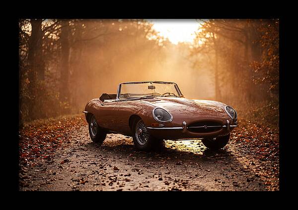 Classic Convertible In Autumn Light