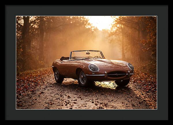 Classic Convertible In Autumn Light