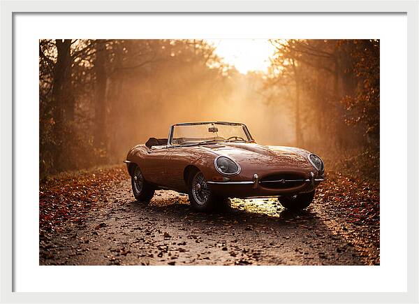 Classic Convertible In Autumn Light