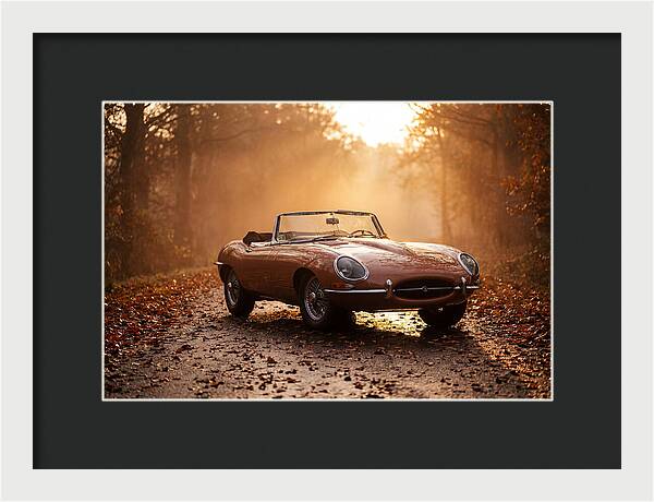 Classic Convertible In Autumn Light